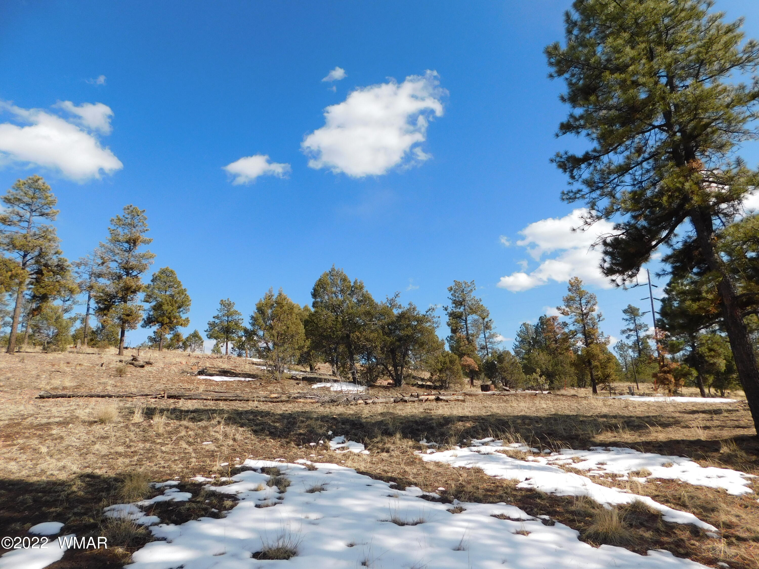 42 County Road Alpine, AZ 85920 - Photo 8 of 17