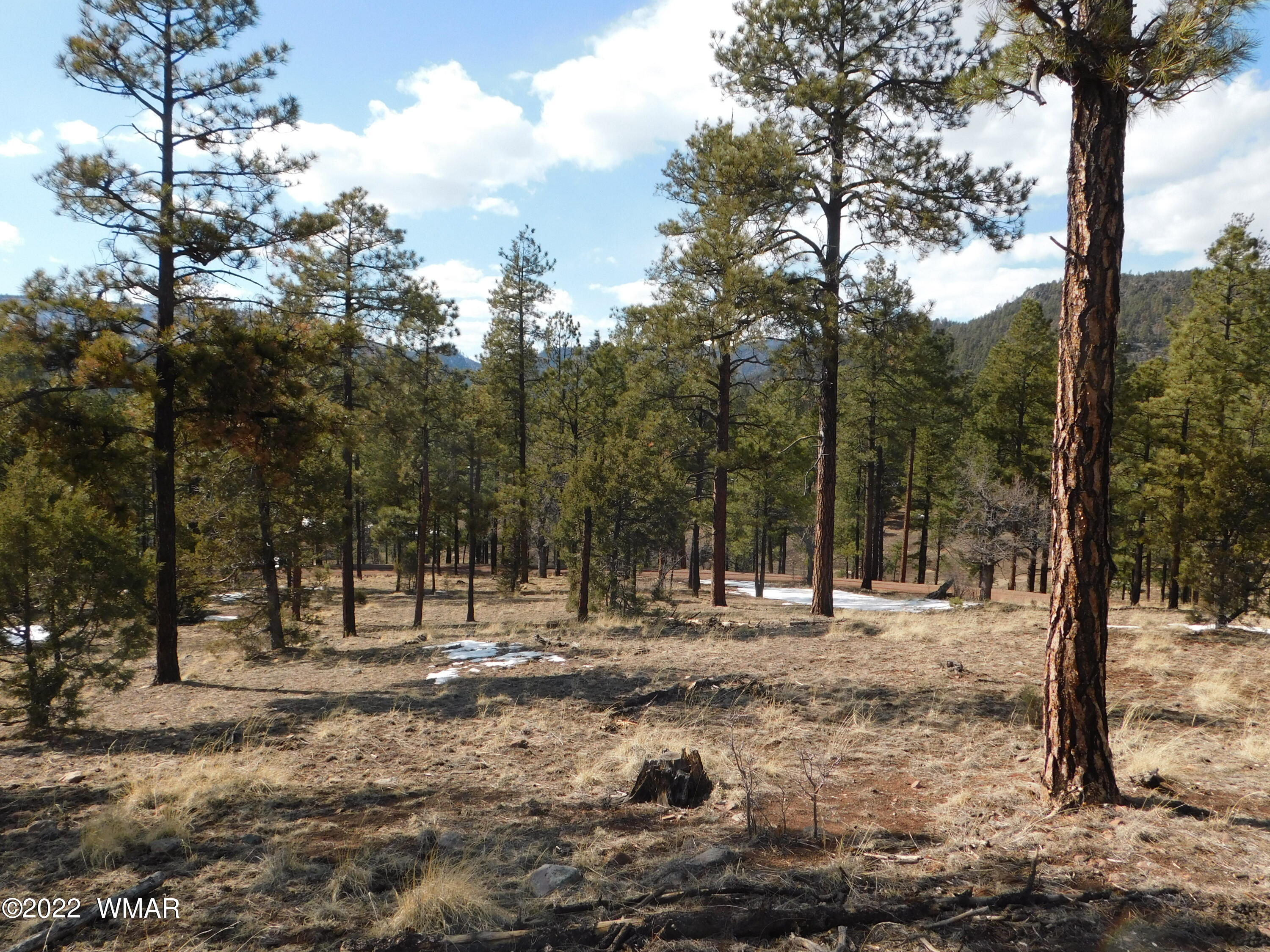 42 County Road Alpine, AZ 85920 - Photo 9 of 17