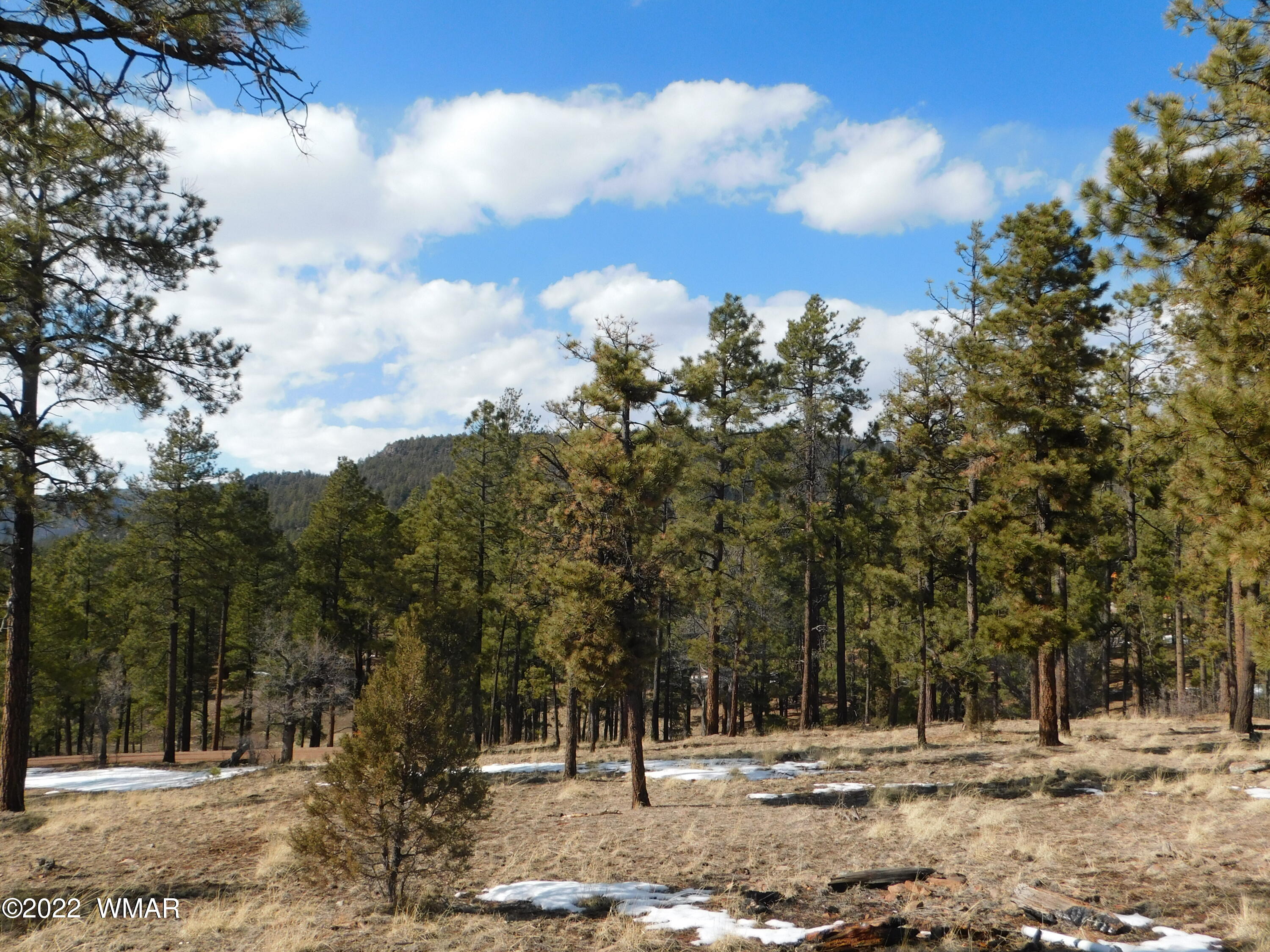 42 County Road Alpine, AZ 85920 - Photo 10 of 17