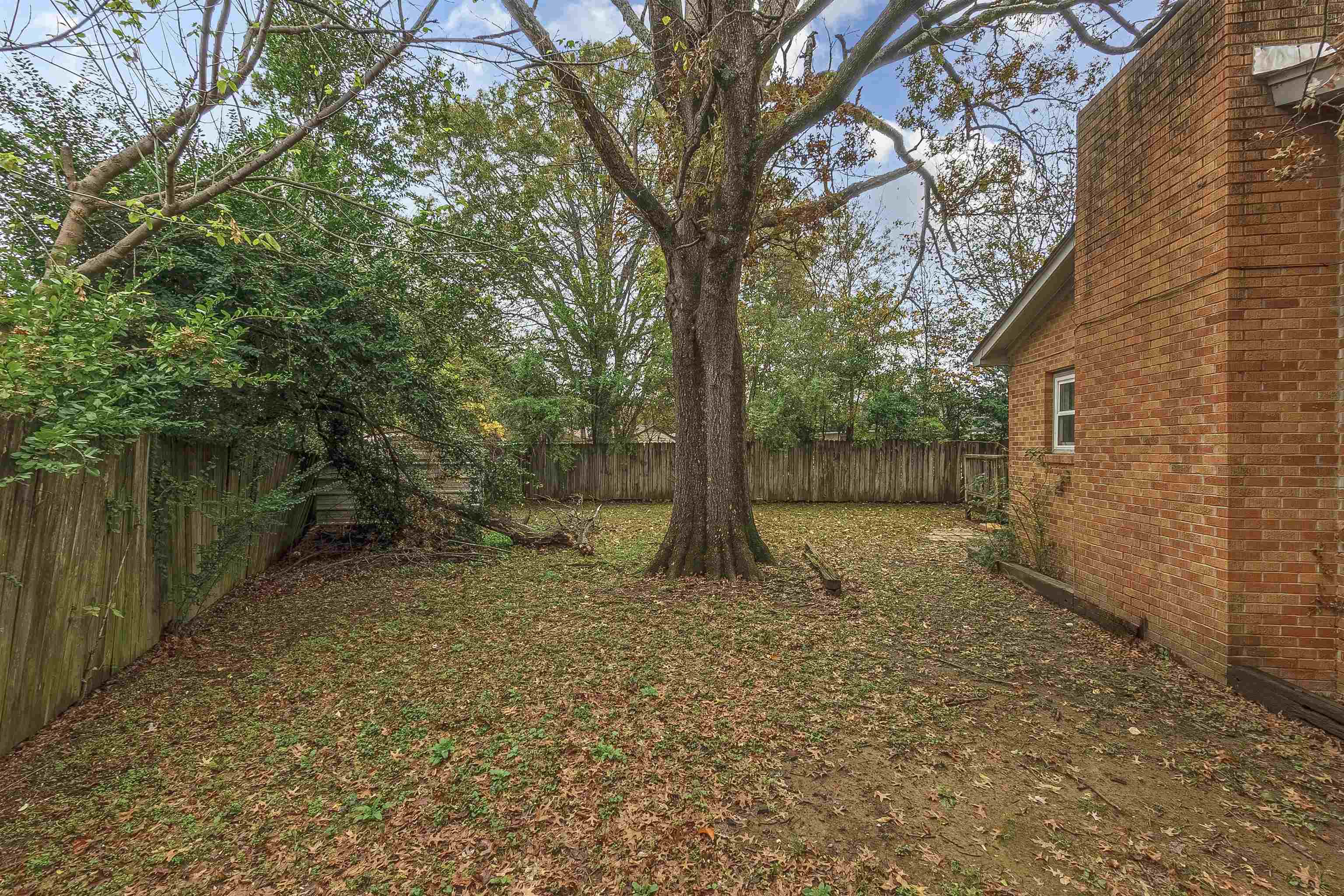 3065 Randy Lane Memphis, TN 38118 - Photo 16 of 16 a view of a yard with trees