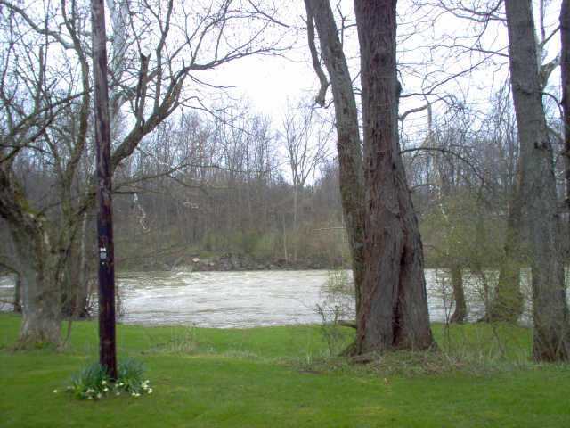 165 Main Road Delaware, OH 43015 - Photo 3 of 9
