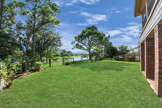 a view of a park with large trees