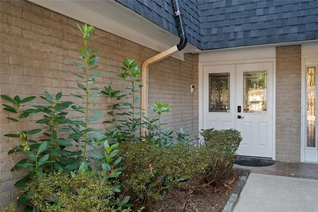 a view of a backyard with plants