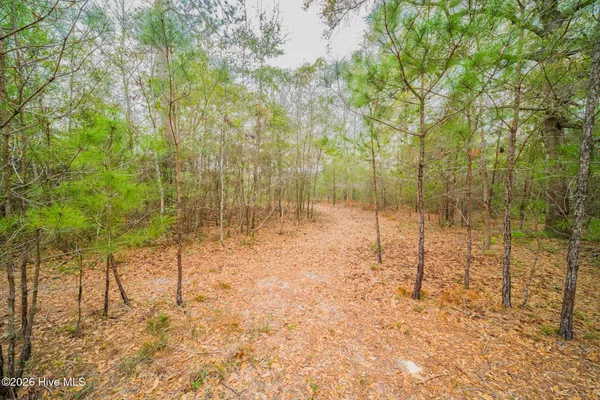 $250,000 | 4566 Tavia Lane Southwest, Shallotte, NC 28470