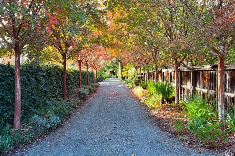 a view of a pathway with a wrought fence