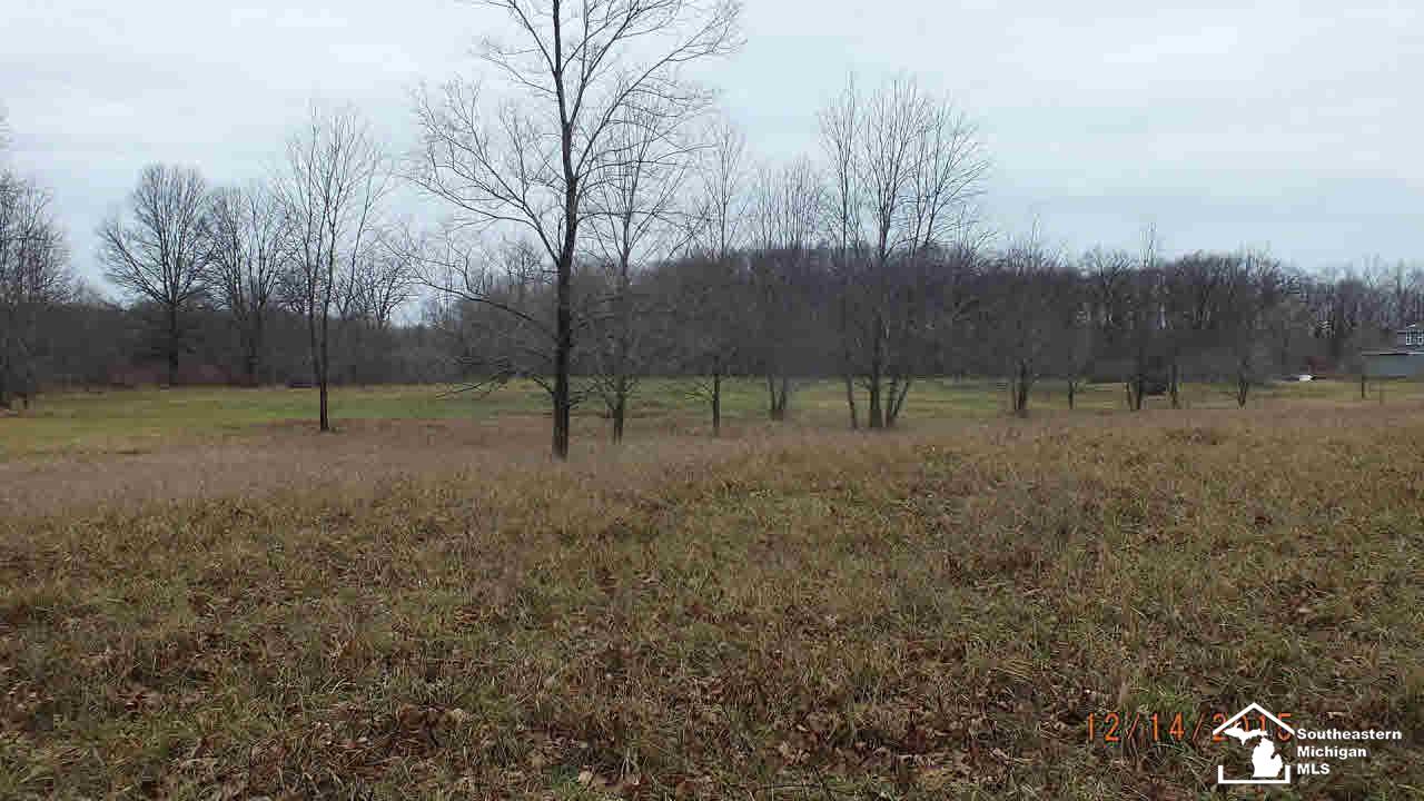 10 Yensch Road Maybee, MI 48159 - Photo 2 of 6