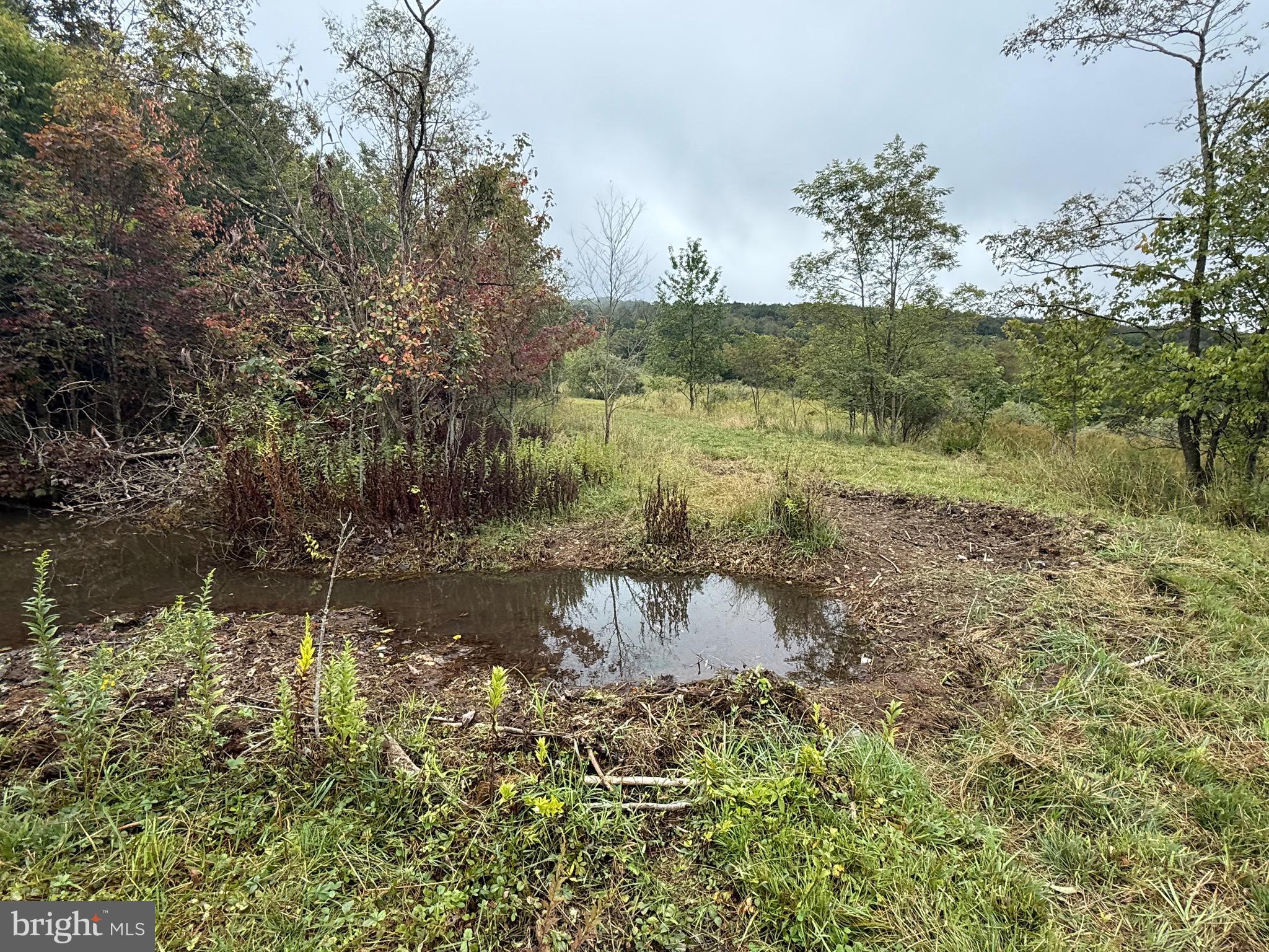 0 Pinnacle Road Keyser, WV 26726 - Photo 22 of 61