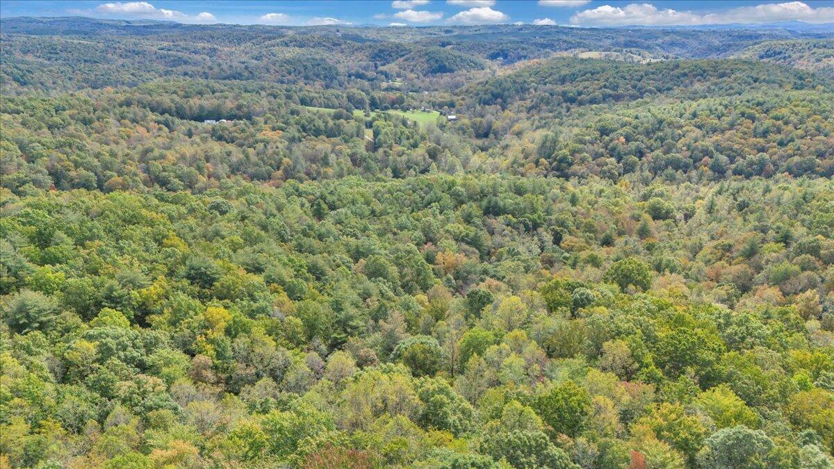 6973 Henry Road Henry, VA 24102 - Photo 101 of 110 a view of a lush green forest with lush green forest and mountain view