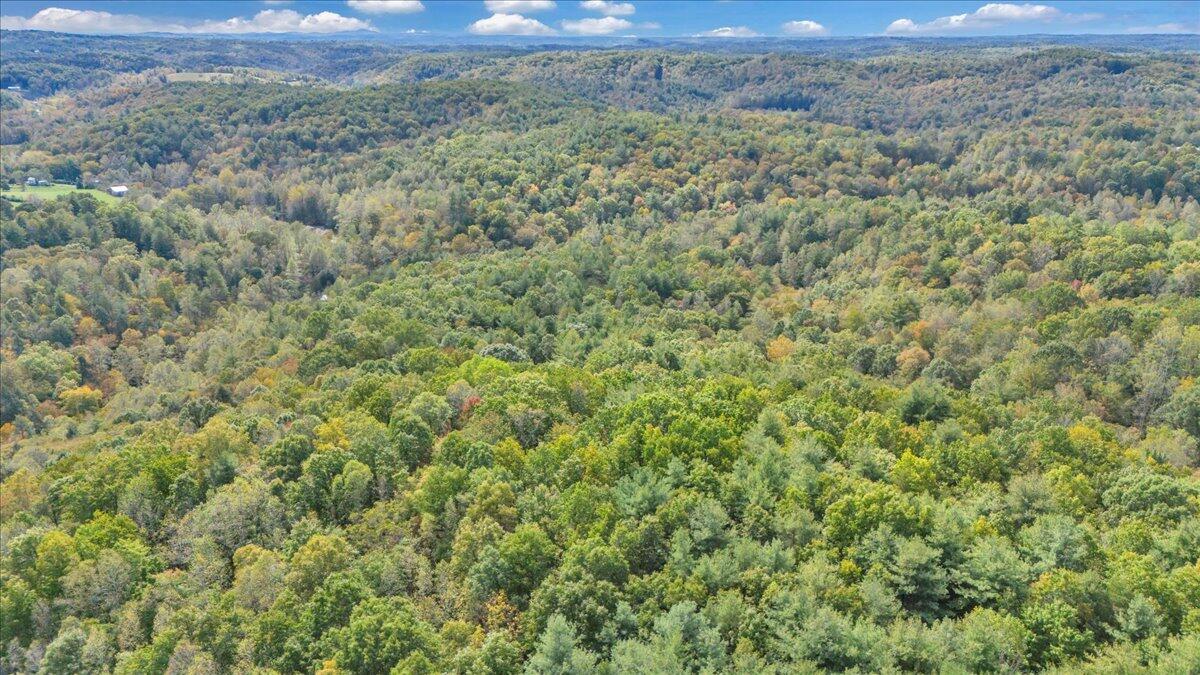 6973 Henry Road Henry, VA 24102 - Photo 102 of 110 102-DJI_20251013114447_0018_D