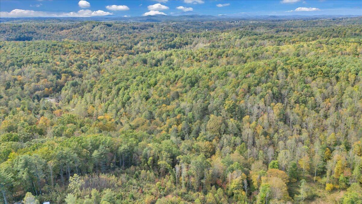 6973 Henry Road Henry, VA 24102 - Photo 104 of 110 104-DJI_20251013114552_0020_D