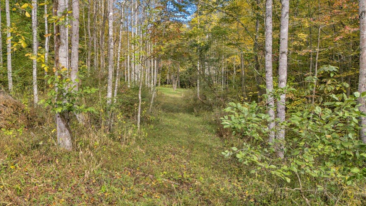 6973 Henry Road Henry, VA 24102 - Photo 108 of 110 108-DJI_20251013114758_0024_D