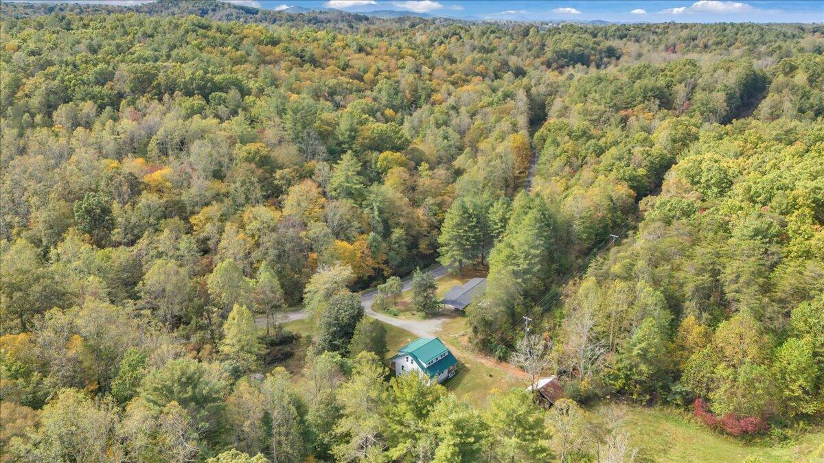6973 Henry Road Henry, VA 24102 - Photo 85 of 110 a view of a yard with large trees