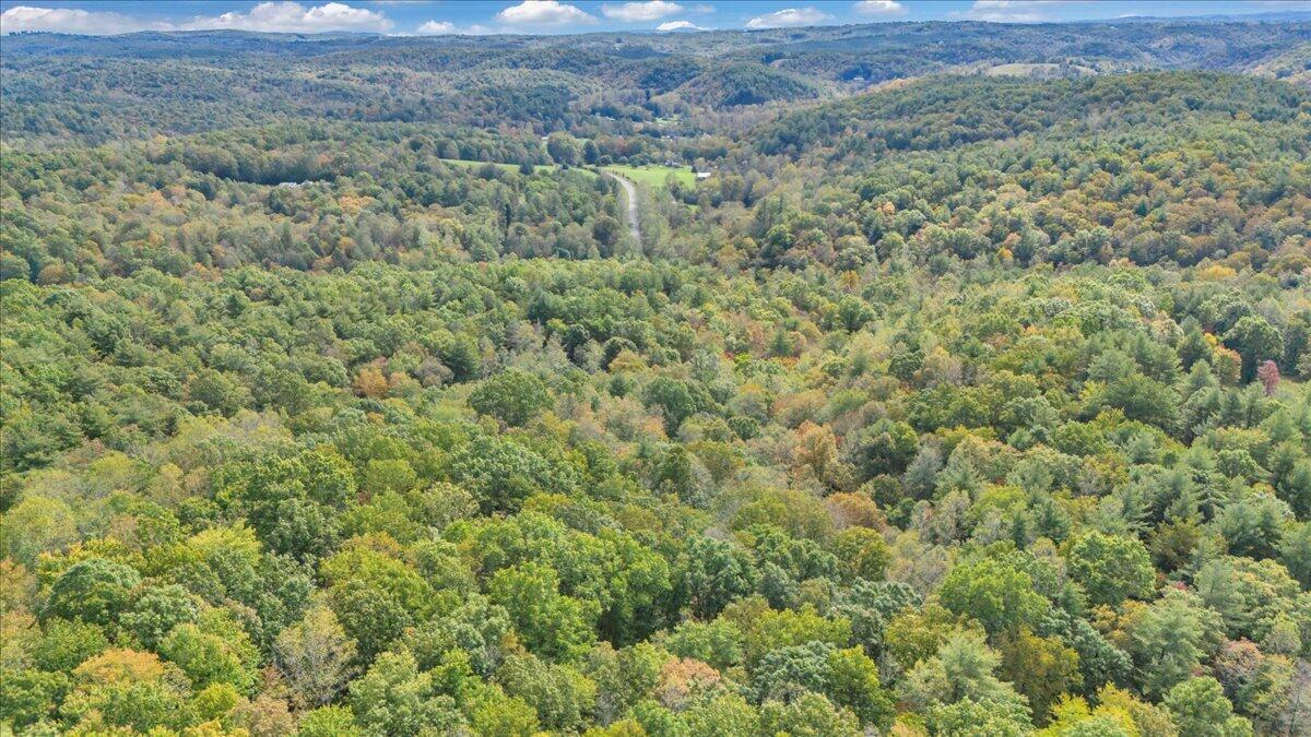 6973 Henry Road Henry, VA 24102 - Photo 100 of 110 100-DJI_20251013114358_0016_D