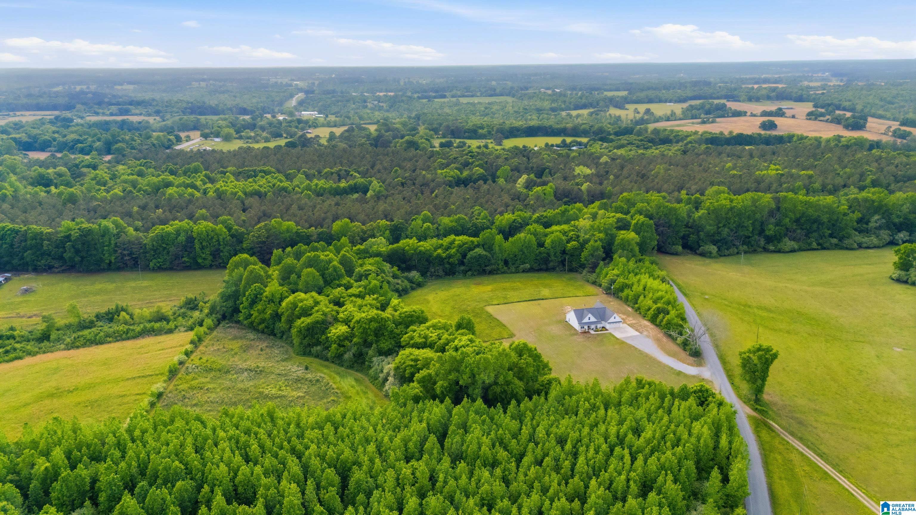 862 Hipp Road Blountsville, AL 35031 - Photo 42 of 50