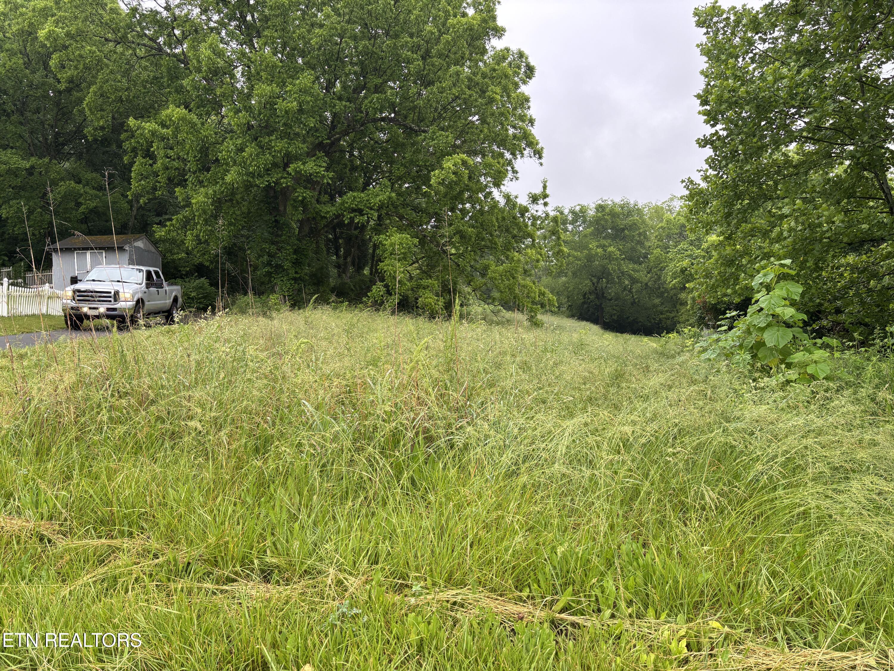 Morrell Springs Road Newport, TN 37821 - Photo 2 of 18 IMG_0088