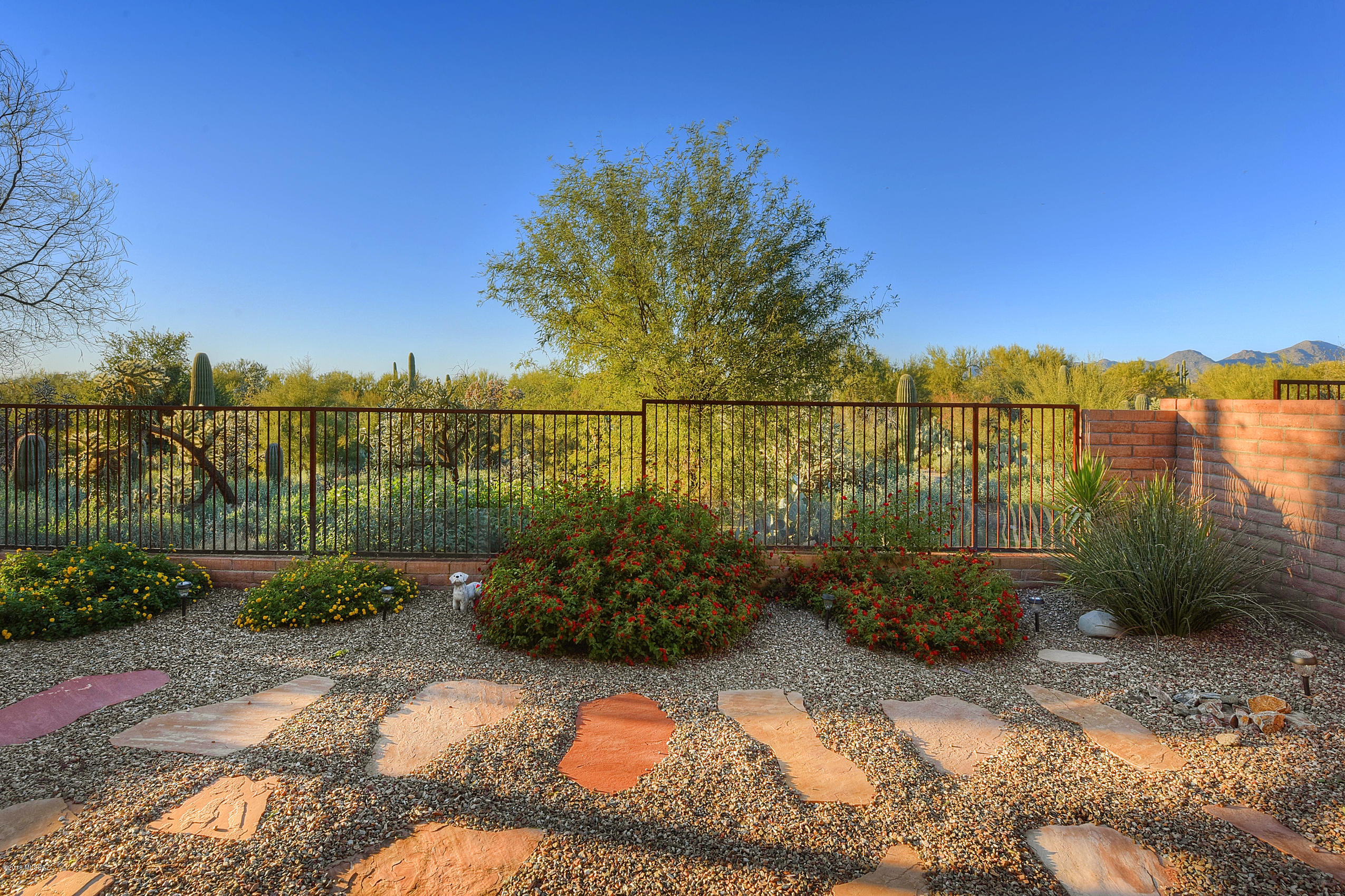 11439 North Moon Ranch Place Marana, AZ 85658 - Photo 3 of 31