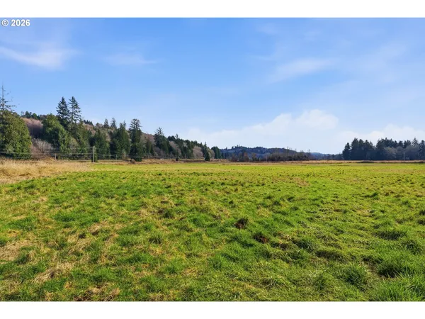 a view of outdoor space and yard