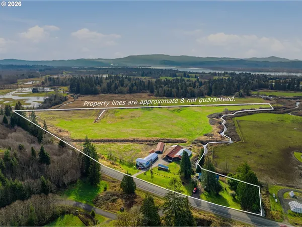 a view of a swimming pool with a terrace