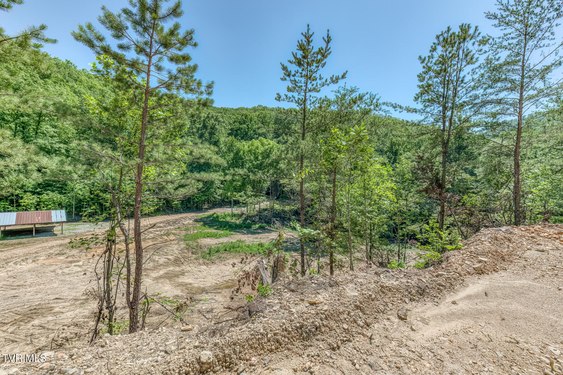 Tbd Bailey Hollow Road, Unit 4 Erwin, TN 37650 - Photo 37 of 49 TBD Bailey Hollow Rd-40