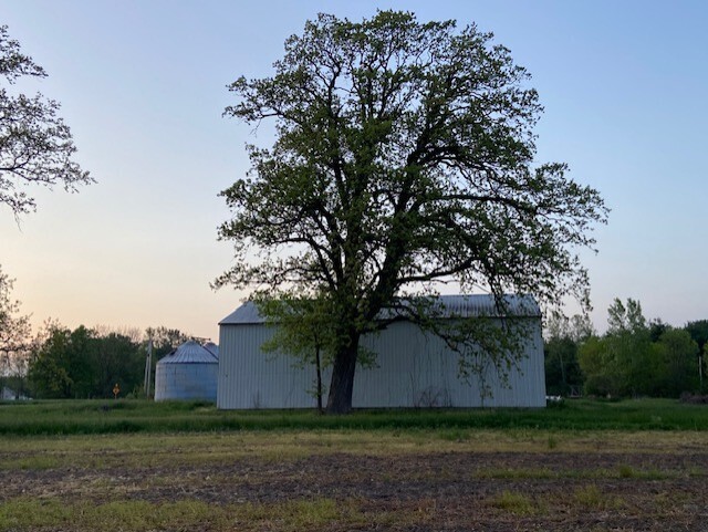 0 West Division Road Yorktown, IN 47396 - Photo 15 of 18 Gallery Image 15
