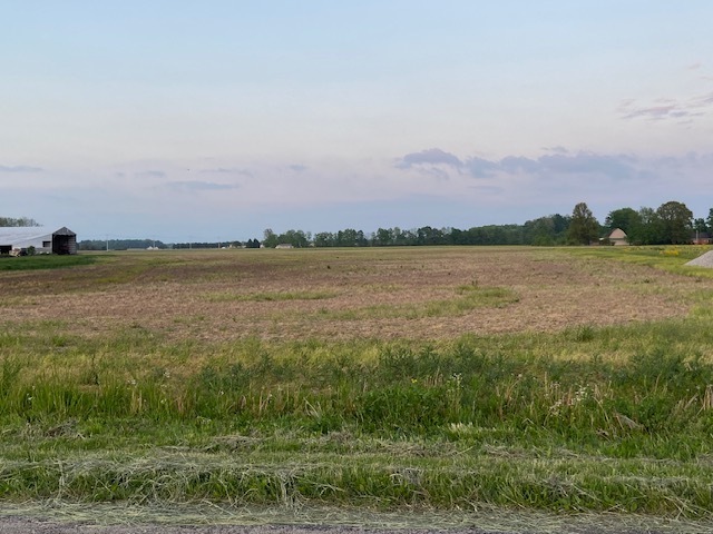 0 West Division Road Yorktown, IN 47396 - Photo 6 of 18 Gallery Image 6
