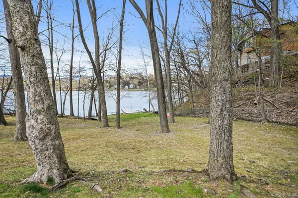 a view of a yard with trees