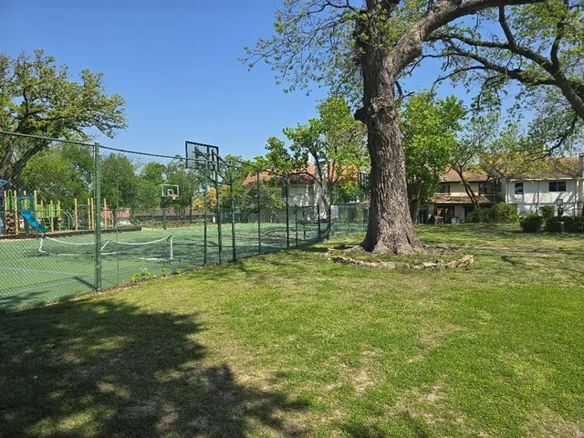 a view of a park with a tree