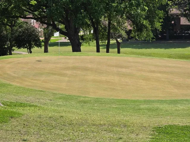 a view of a trees with a yard
