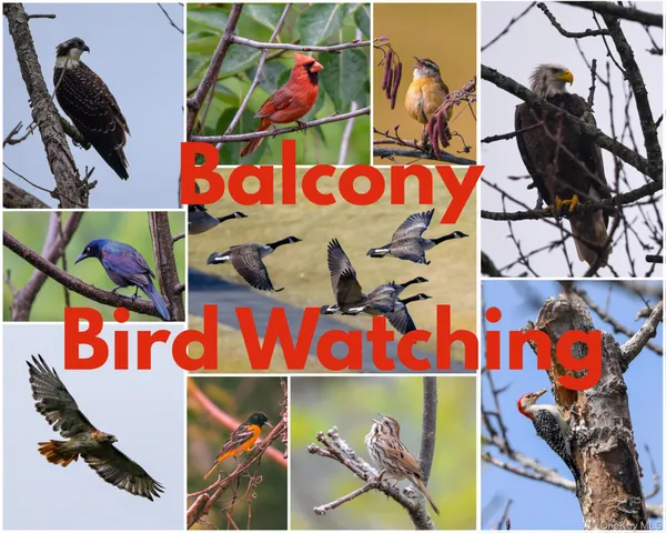 $288,000 | 100 East Hartsdale Avenue, Unit 4JE, Hartsdale, NY 10530