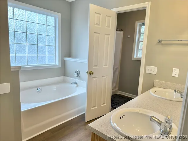 a bathroom with a tub a sink and a shower