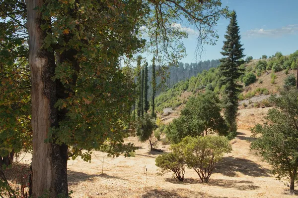$777,000 | 9451 Mill Creek Road, Healdsburg, CA 95448