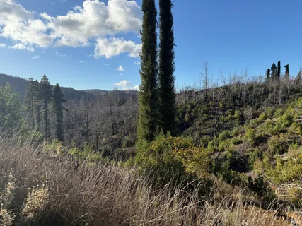 $798,000 | 9451 Mill Creek Road, Healdsburg, CA 95448