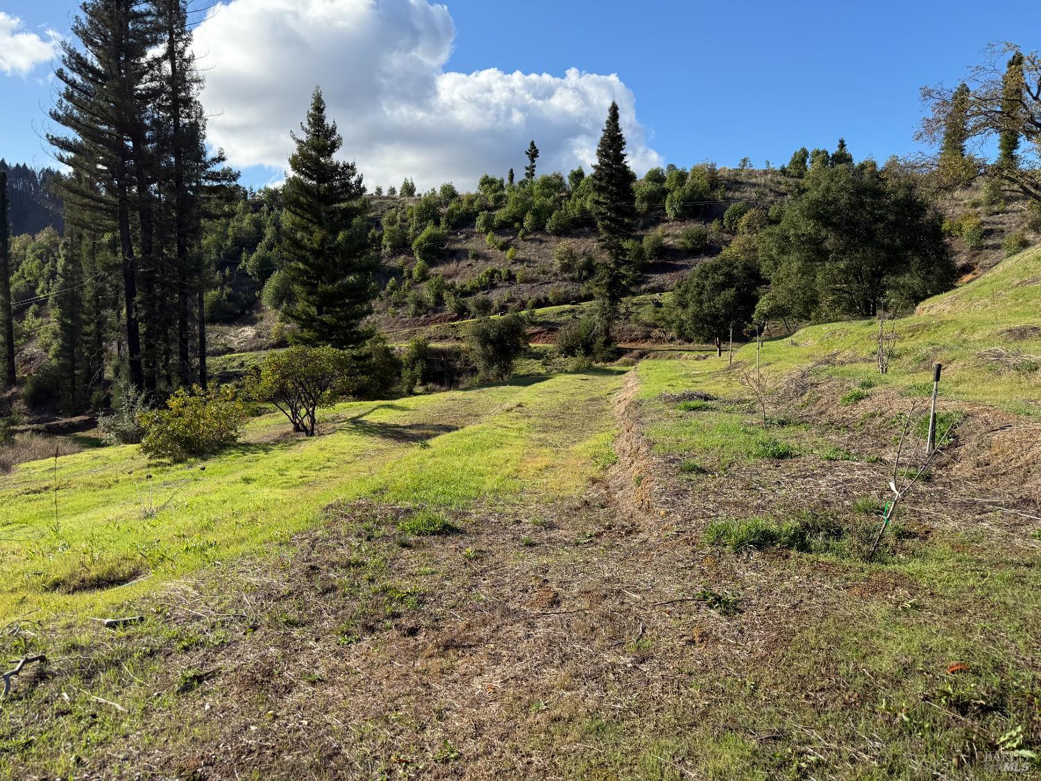 9451 Mill Creek Road Healdsburg, CA 95448 - Photo 51 of 60 A nicely terraced area ready for planting