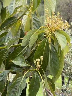 $798,000 | 9451 Mill Creek Road, Healdsburg, CA 95448