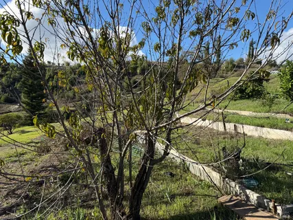 $798,000 | 9451 Mill Creek Road, Healdsburg, CA 95448