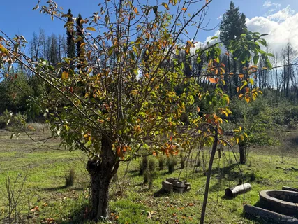 $798,000 | 9451 Mill Creek Road, Healdsburg, CA 95448