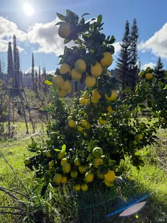 $798,000 | 9451 Mill Creek Road, Healdsburg, CA 95448