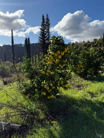 $777,000 | 9451 Mill Creek Road, Healdsburg, CA 95448