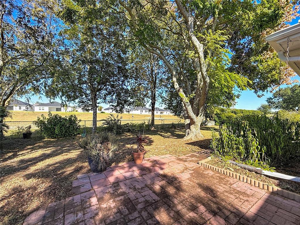6175 Southwest 98th Loop Ocala, FL 34476 - Photo 42 of 56 a view of yard with tree