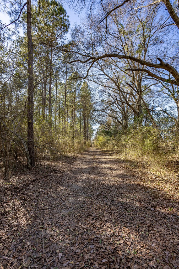 0 Bruner Pond Road Ashford, AL 36312 - Photo 25 of 30