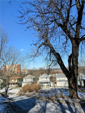 a view of a yard with a tree