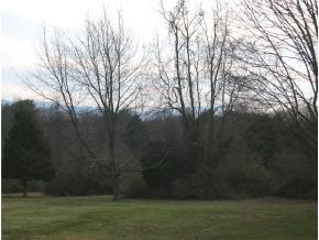 2308 Belvue Road Waynesboro, VA 22980 - Photo 6 of 6 Gallery Image 6