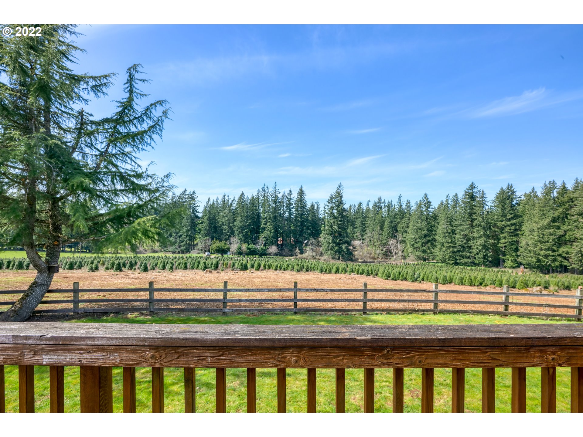 25861 South Larkin Road Beavercreek, OR 97004 - Photo 14 of 32