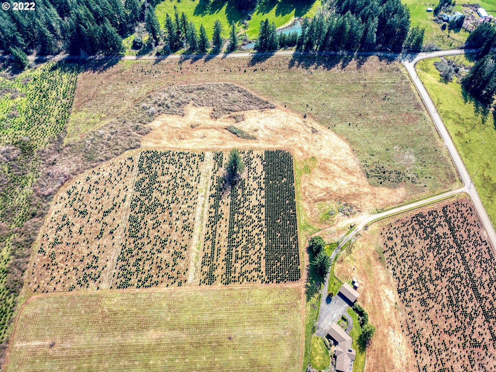 25861 South Larkin Road Beavercreek, OR 97004 - Photo 28 of 32 a view of outdoor space with garden