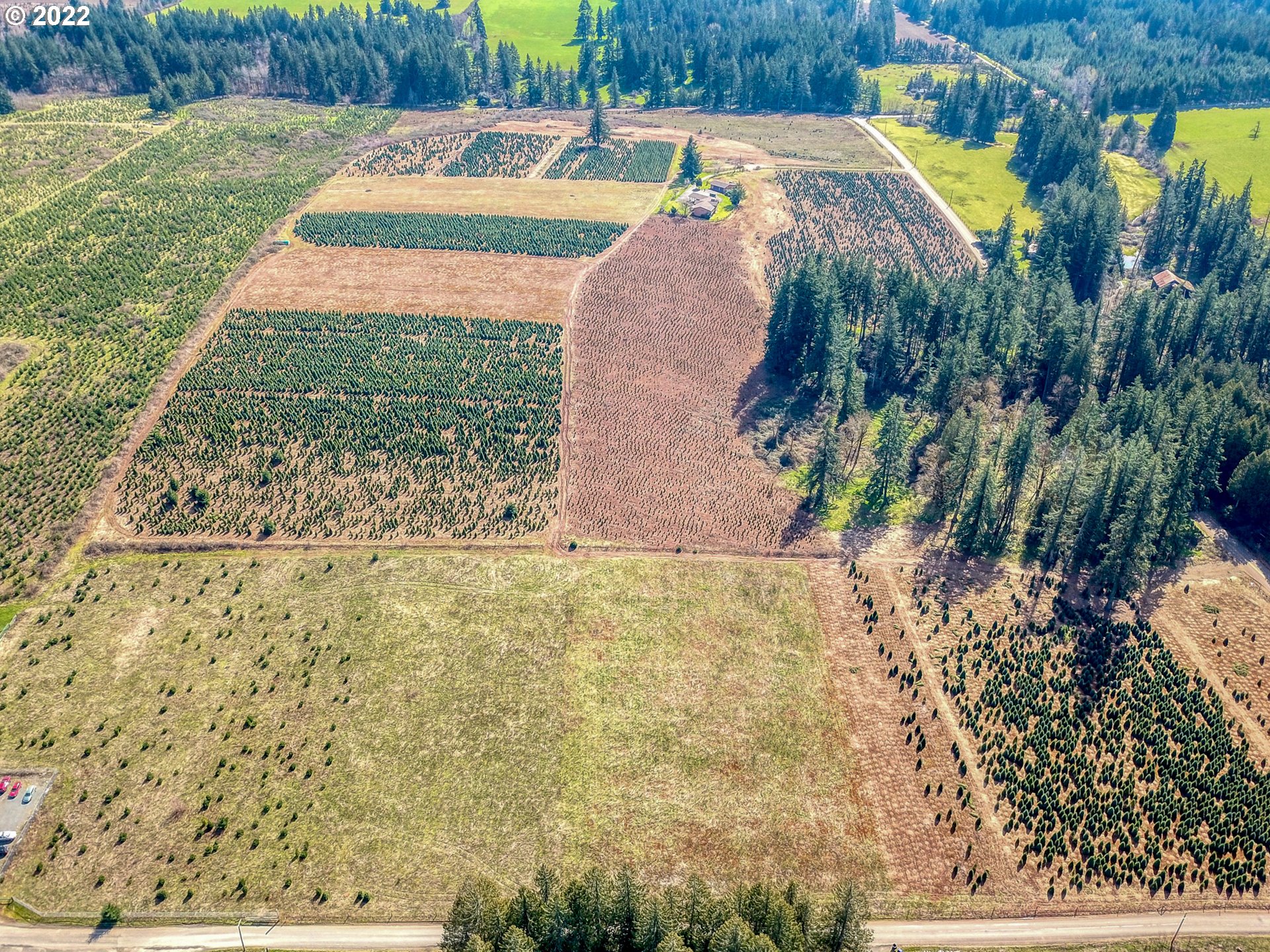 25861 South Larkin Road Beavercreek, OR 97004 - Photo 29 of 32 a view of a yard with plants