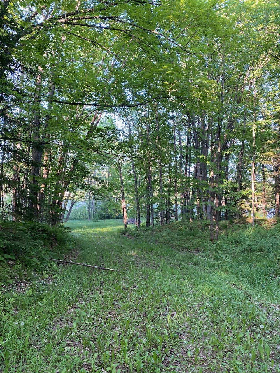 13013 Birch Bay Road Presque Isle, WI 54557 - Photo 9 of 11 Gallery Image 9