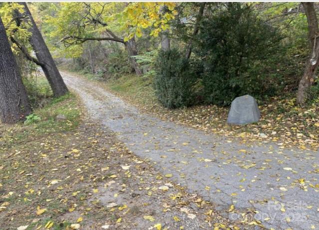 298 Speedwell Road Cullowhee, NC 28723 - Photo 20 of 20 a view of a dry yard with trees and plants