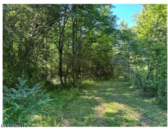 $360,000 | 3605 Byhalia Road, Hernando, MS 38632