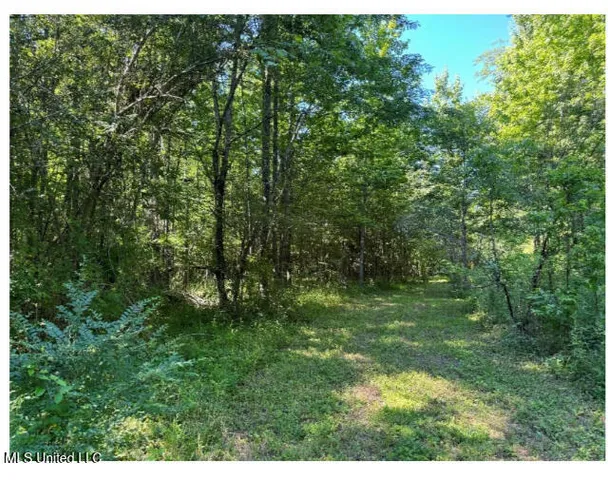 $408,000 | 3605 Byhalia Road, Hernando, MS 38632