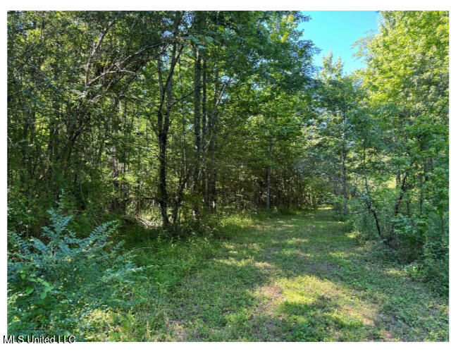 3605 Byhalia photo 3